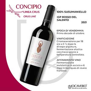CONCIPIO-1---mocavero-vini-2023-vinificazione.jpg